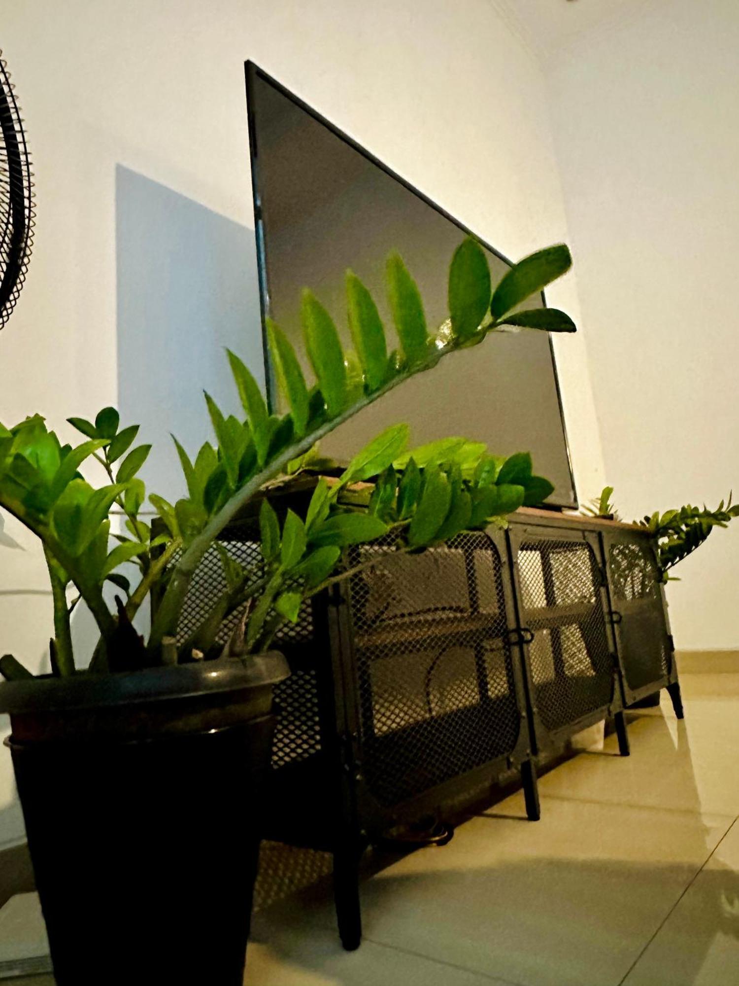 4-Bedroom Home In South Jakarta Nuansa Swadarma Residence By Le Ciel Hospitality エクステリア 写真